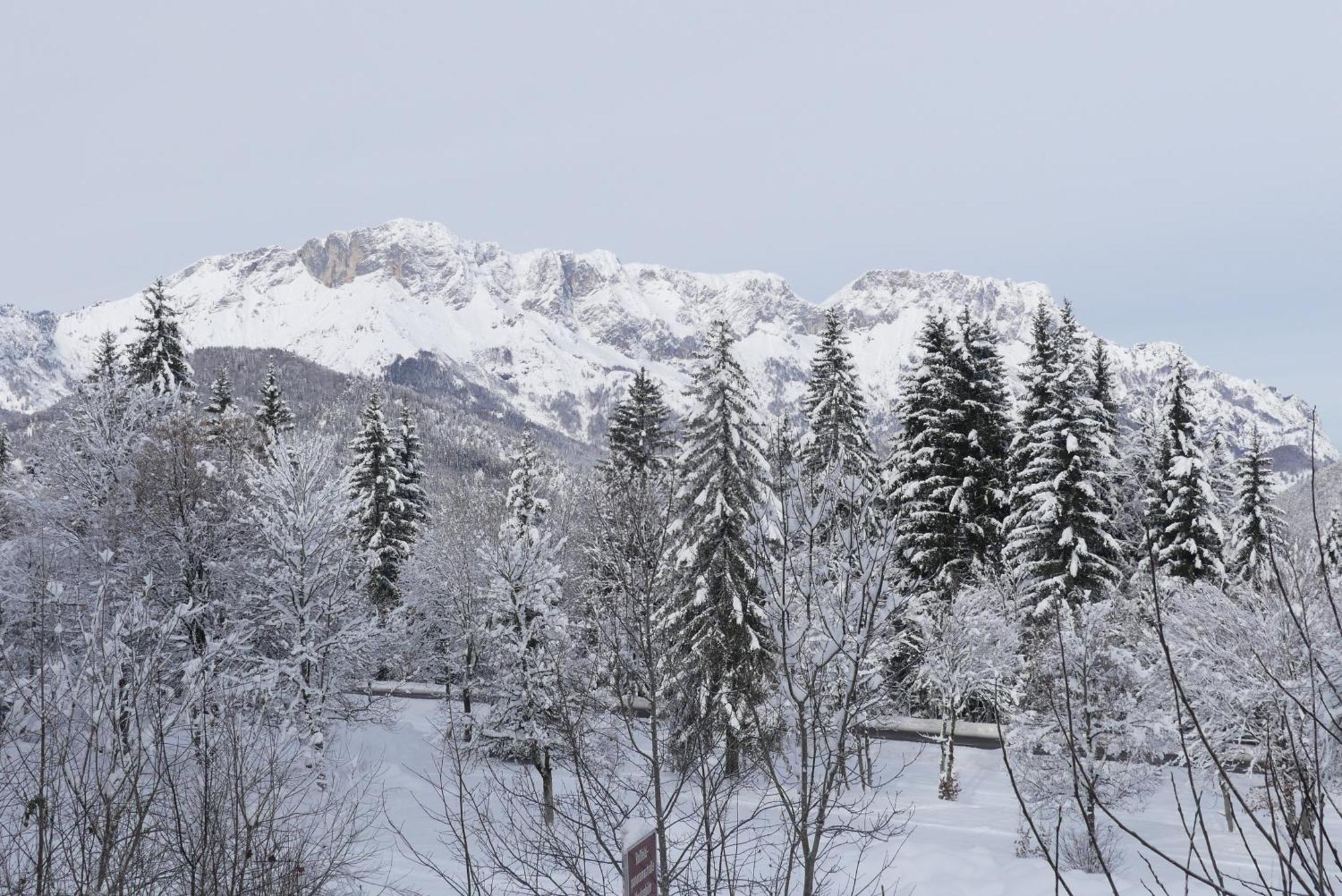 Ferienwohnungen Haus Kunterbunt Berchtesgaden Eksteriør billede